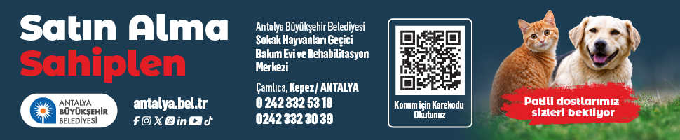 reklam