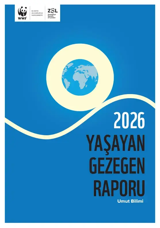 Tarım